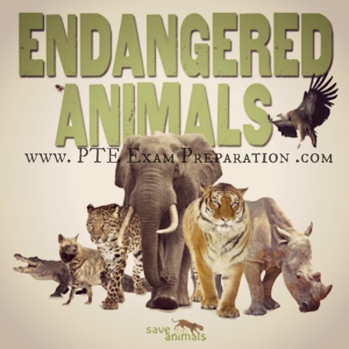 PTE Essay Writing: Human Needs Are More Important Than Saving Land For  Endangered Animals