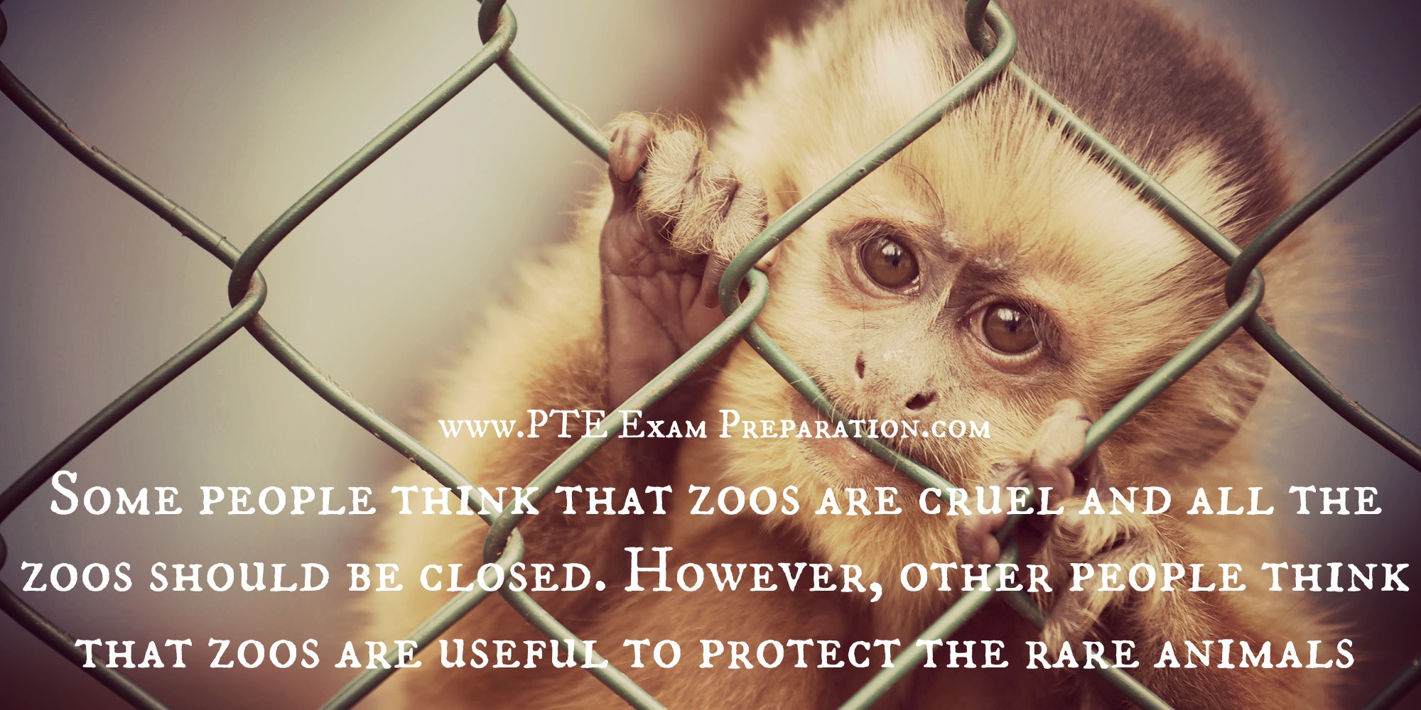 Some people think that zoos are cruel and all the zoos should be closed