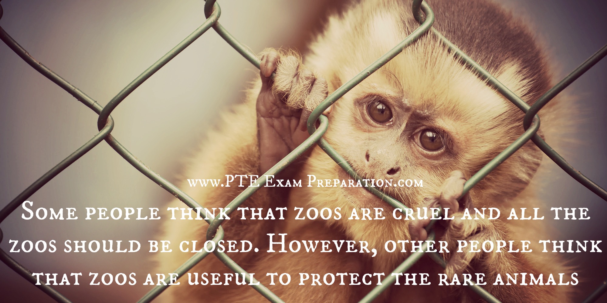 Some people think that zoos are cruel and all the zoos should be closed Some people think that zoos are cruel and all the zoos should be closed