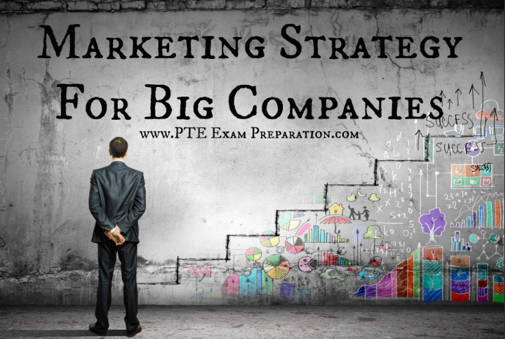 PTE And IELTS General Essay - Marketing Strategy For Big Companies