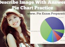 PTE Academic Speaking Describe Image With Answers-Pie Chart Practice