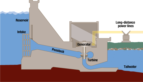 pte exam preparation describe image