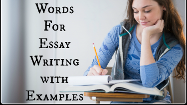 Transition Words For Essay