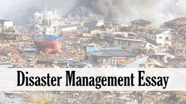 Disaster Management Essay