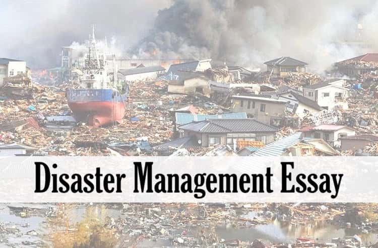 Disaster Management Essay