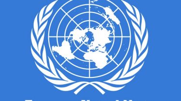 Essay on United Nations