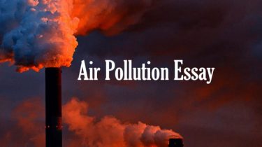 Air Pollution Essay