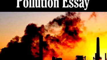 Pollution Essay