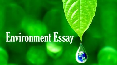 Environment Essay