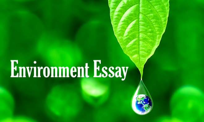 Environment Essay 