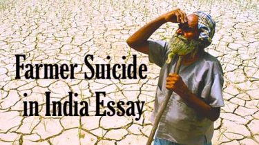 Farmer Suicide in India Essay