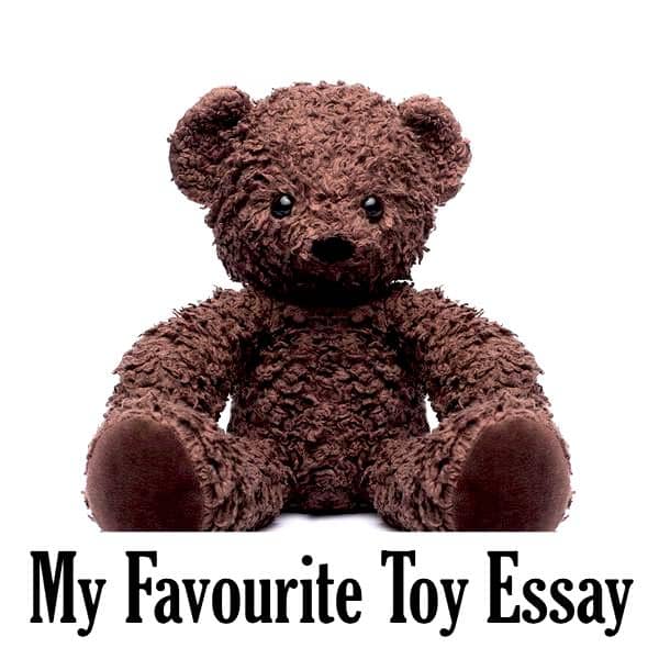 My Favourite Toy Essay