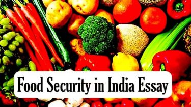 Food Security in India Essay