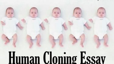 pte exam preparation Human Cloning Essay