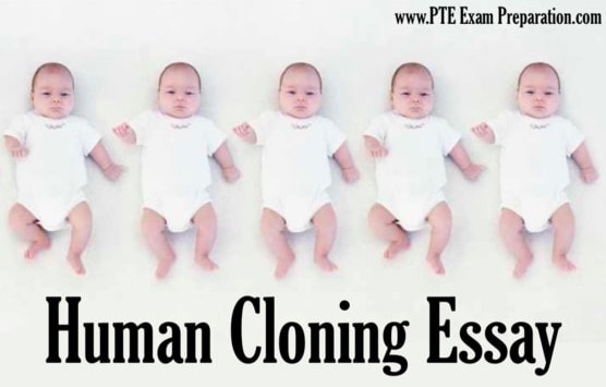 pte exam preparation Human Cloning Essay