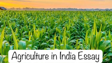 Agriculture in India Essay