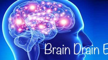 Brain Drain Essay