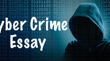 Cyber Crime Essay