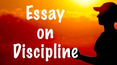 Discipline Essay