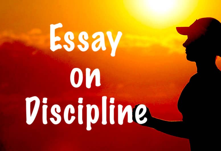 Discipline Essay