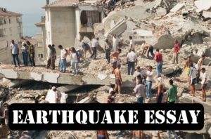 essay on earthquake 300 words