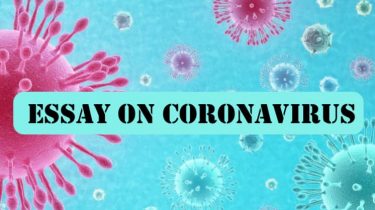 Essay on Coronavirus