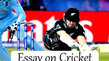 Essay on Cricket