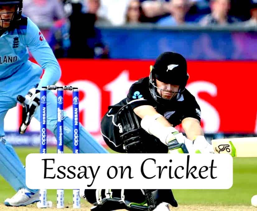 Essay on Cricket