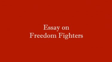 Essay on Freedom Fighters