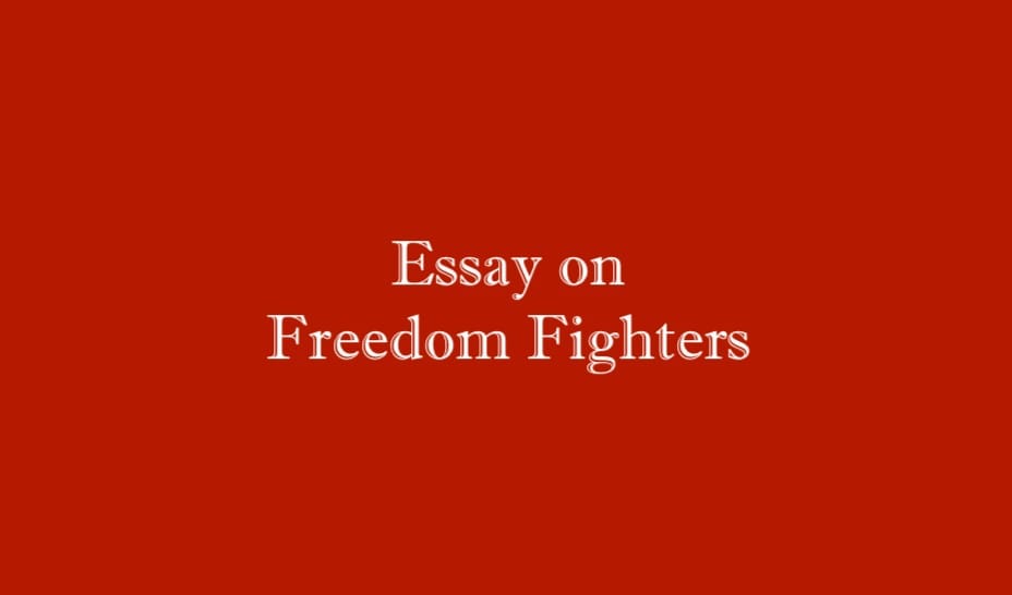 Essay on Freedom Fighters