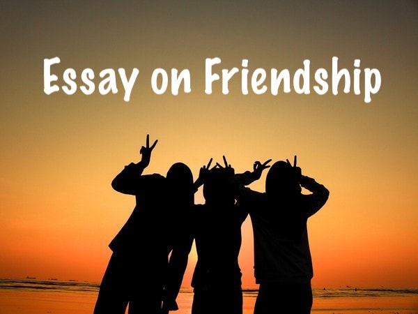 Essay on Friendship