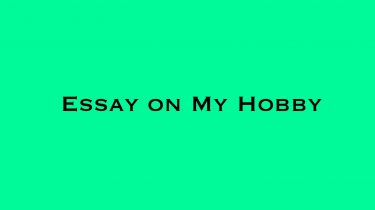 Essay on My Hobby