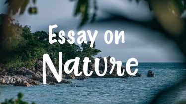 Essay on Nature