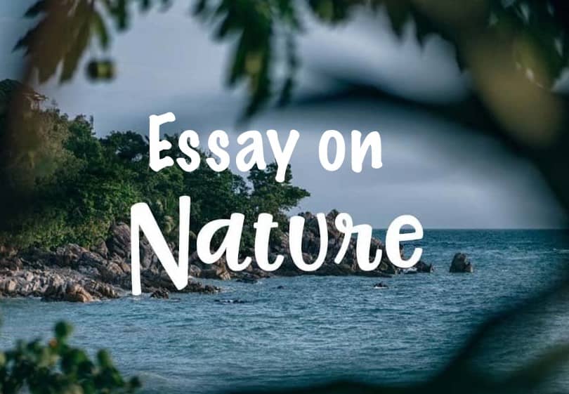 300 words essay about nature