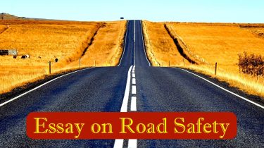 Essay on Road Safety