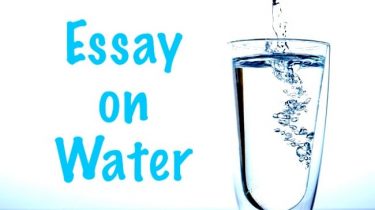 Essay on Water