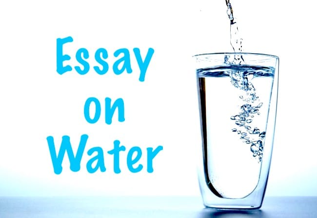 Essay on Water