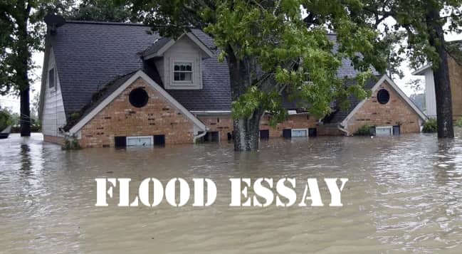 Flood Essay