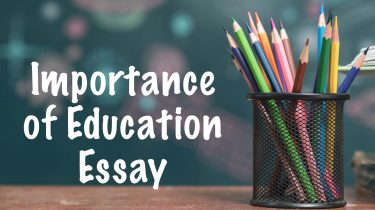 Importance of Education Essay