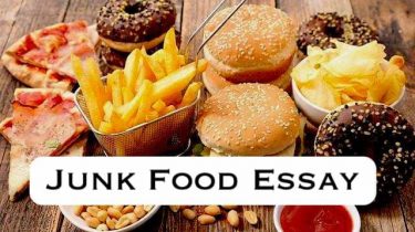 Junk Food Essay