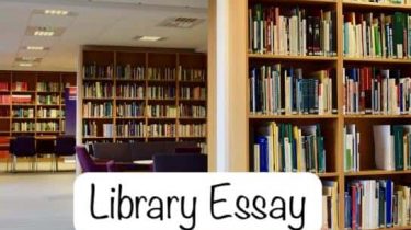 Library Essay