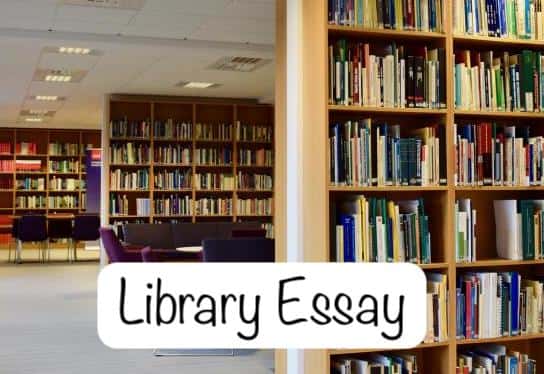 Library Essay