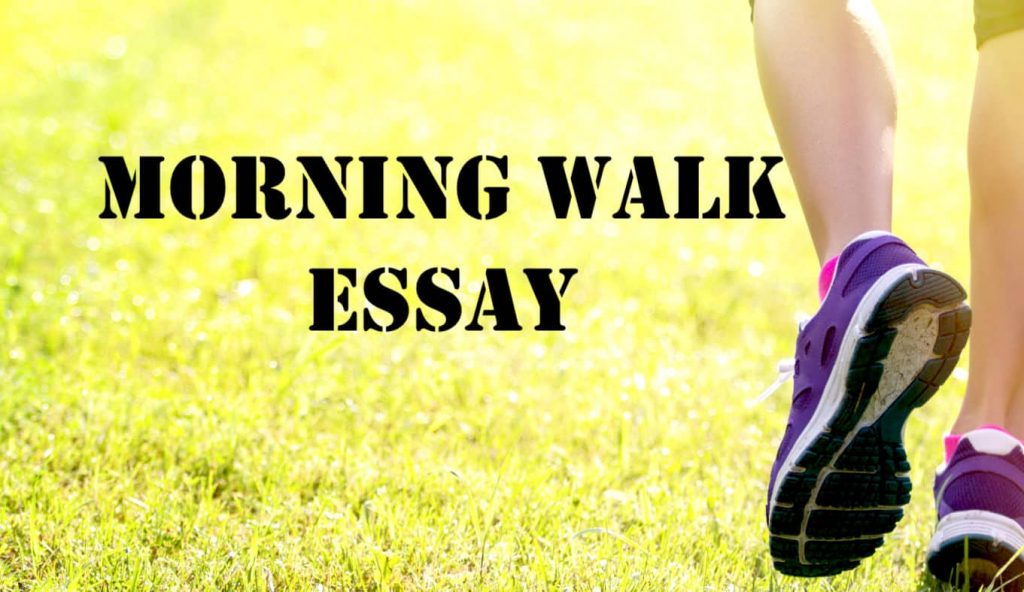 Morning Walk Essay