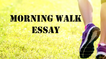 Morning Walk Essay