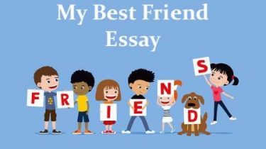 My Best Friend Essay