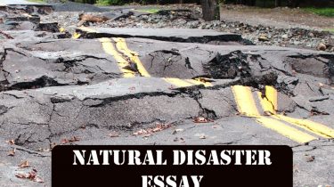 Natural Disaster Essay