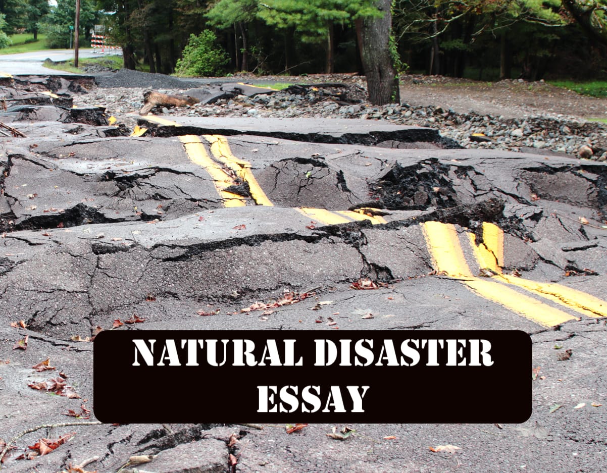natural disaster essay 300 words grade 12