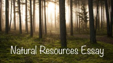Natural Resources Essay