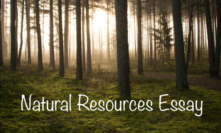 Natural Resources Essay