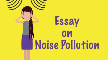 Noise Pollution Essay